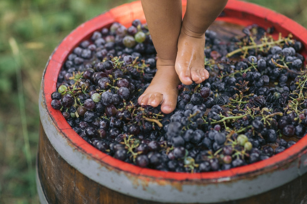 Quelle chaussure pour piétiner ? Trouvez la paire idéale