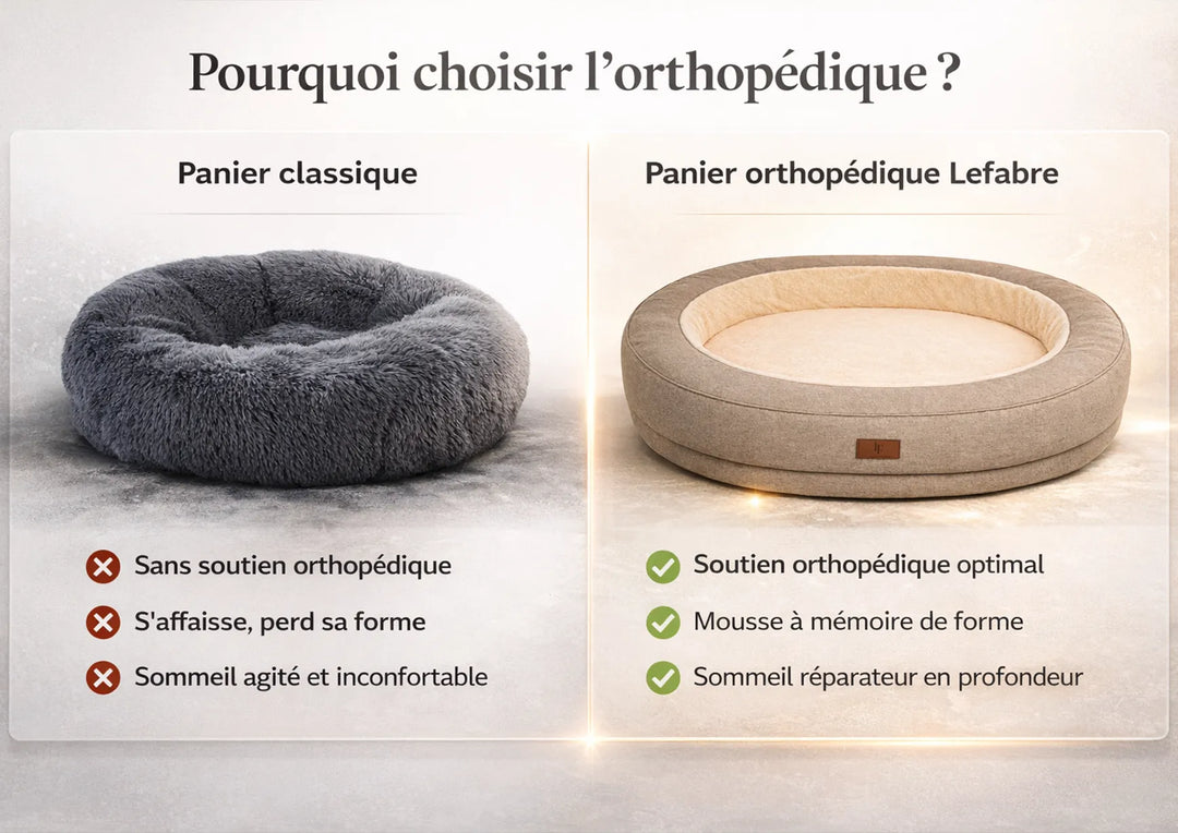L'orthopédique pour chien : quels bienfaits pour les articulations et le confort ?