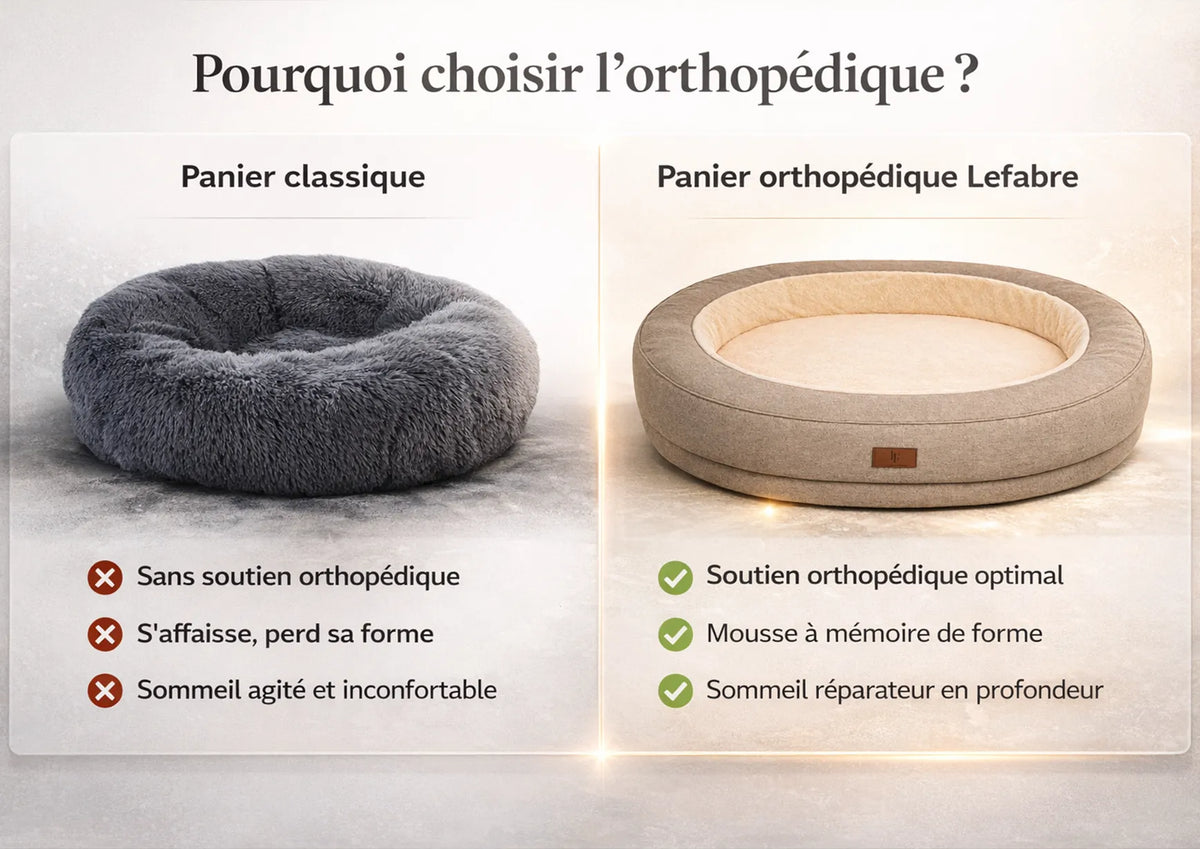 L'orthopédique pour chien : quels bienfaits pour les articulations et le confort ?